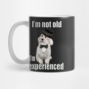 I’m not old I’m classic experienced funny humor getting older joke Cavapoo puppy dog Mug